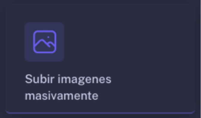 Importador Masivo de Imágenes