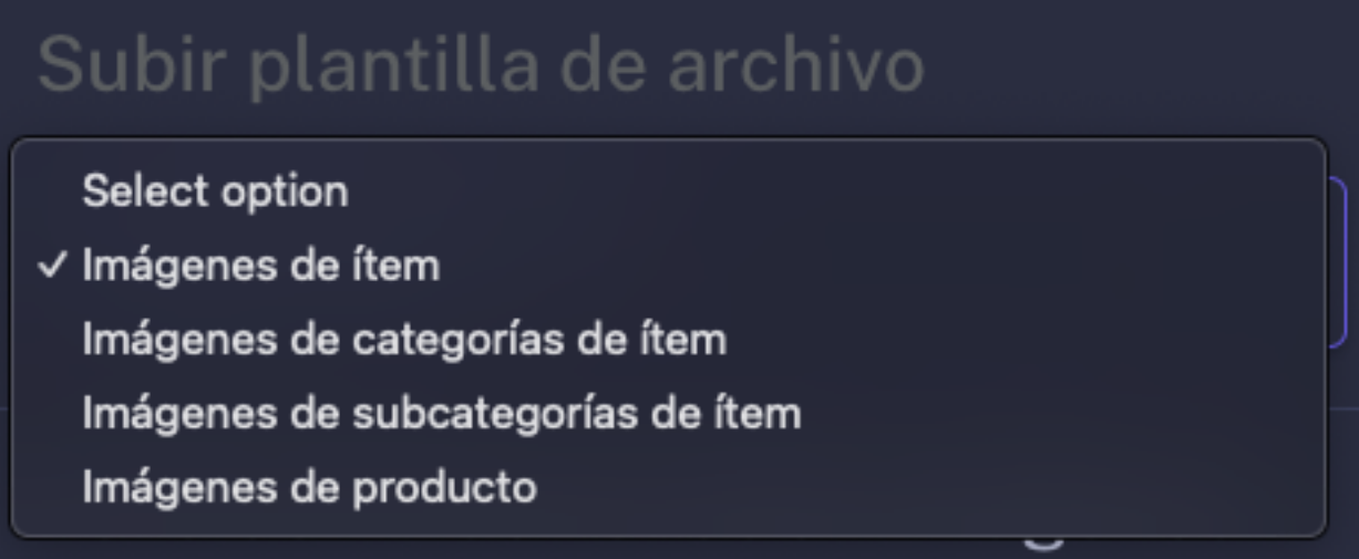 Importador Masivo de Imágenes